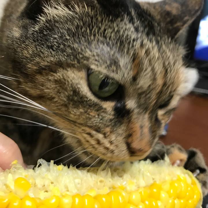 3bc23b61 faa5 4f91 987c 60a02b2d6479 1528378080462