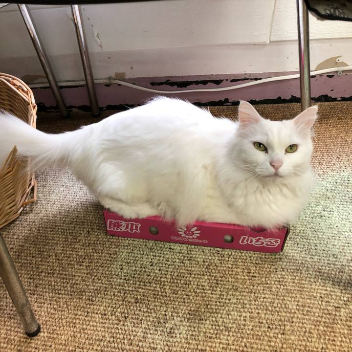 3bc23f6a 39ec 479b bdb6 40aa909178a7 1657239750521