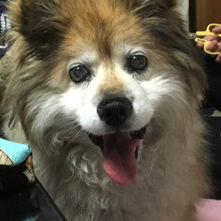 3bc27883 cfdb 407b aea5 aefbbdc3d9a0 1597013418830