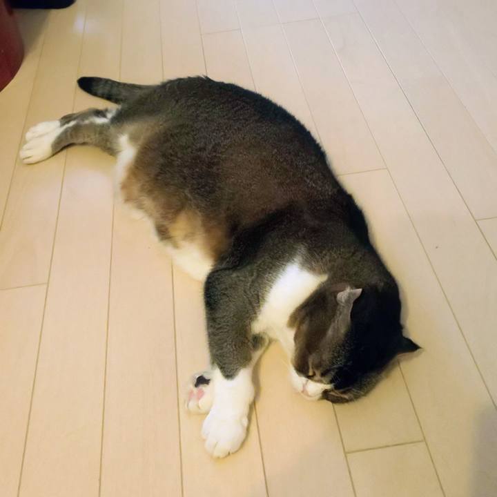 3bc2b186 7ed6 4943 872d 7a372fcf0546 1754606731665