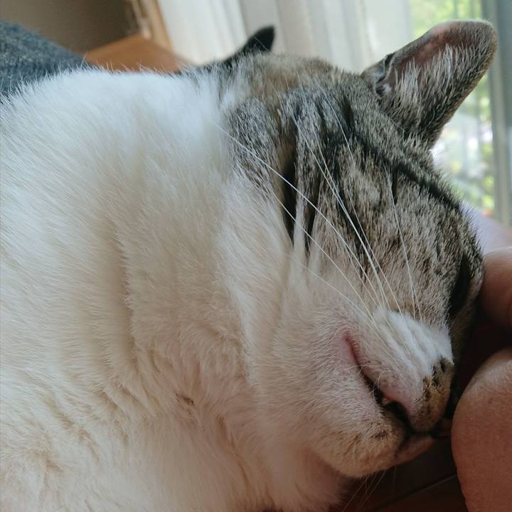 3bc302c1 dcbd 4b8f bee4 35aca6d01973 1525235157052