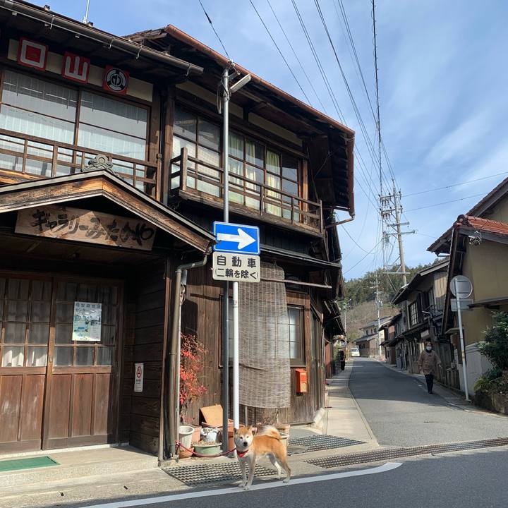 3bc305dc a238 4044 aab0 9c17f24e2f2a 1614244894932