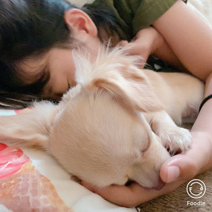 3bc3255a f34a 416c baea 27b4948dcc55 1597543133081