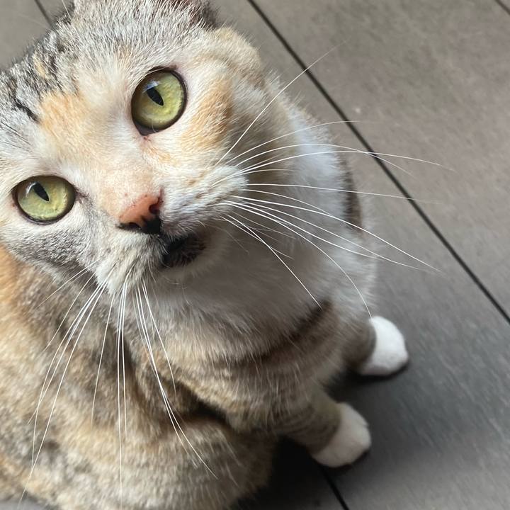 3bc32aef d017 42f3 8e88 3d38599eefcd 1627540980380