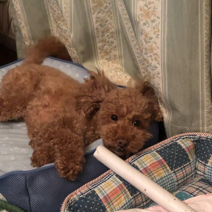 3bc33e91 d07d 44ef b403 ed4e153c3a7f 1512477909096