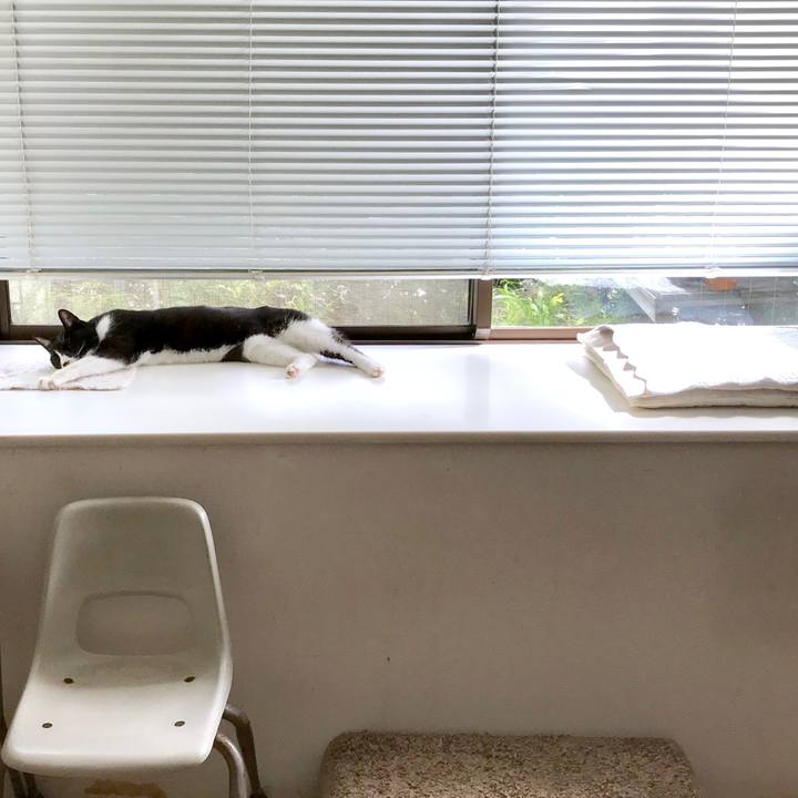 3bc350df b077 4839 acf1 c83b86a5fc79 1534399451571