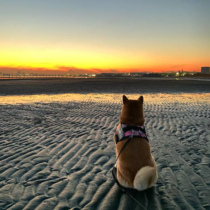 3bc35eb0 5d98 4bda a53a 606f74534a72 1640770904014