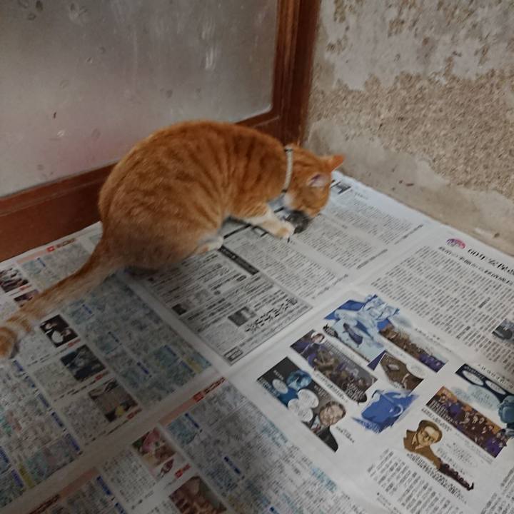 3bc38428 e115 438f 99db 4b28f3f0226e 1590137925424