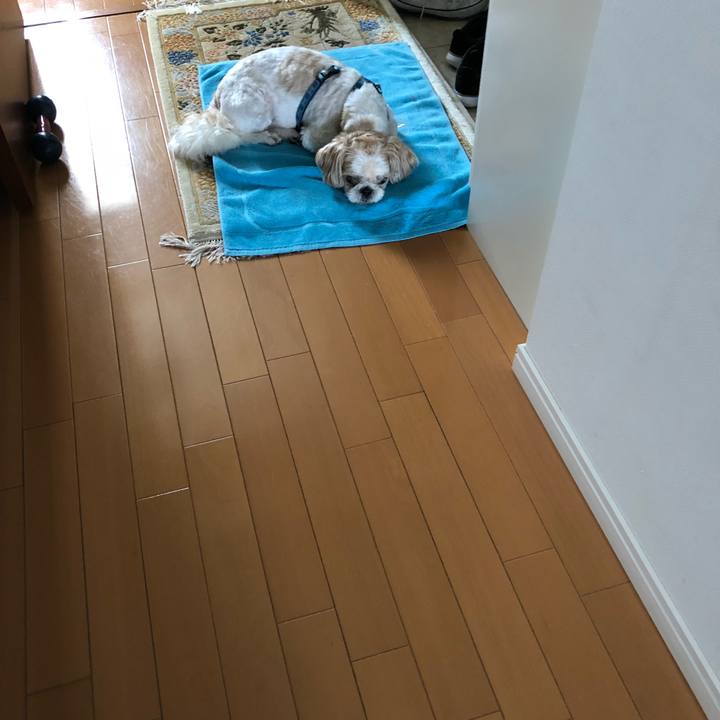 3bc3a2a6 ef0e 4883 a3ef ea0bf51a44e4 1528234625484