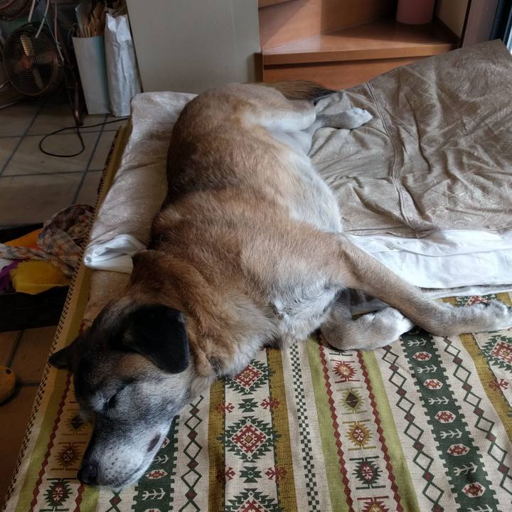 3bc3d463 1a6a 493e 9d4f 3fee40dee118 1516335500409