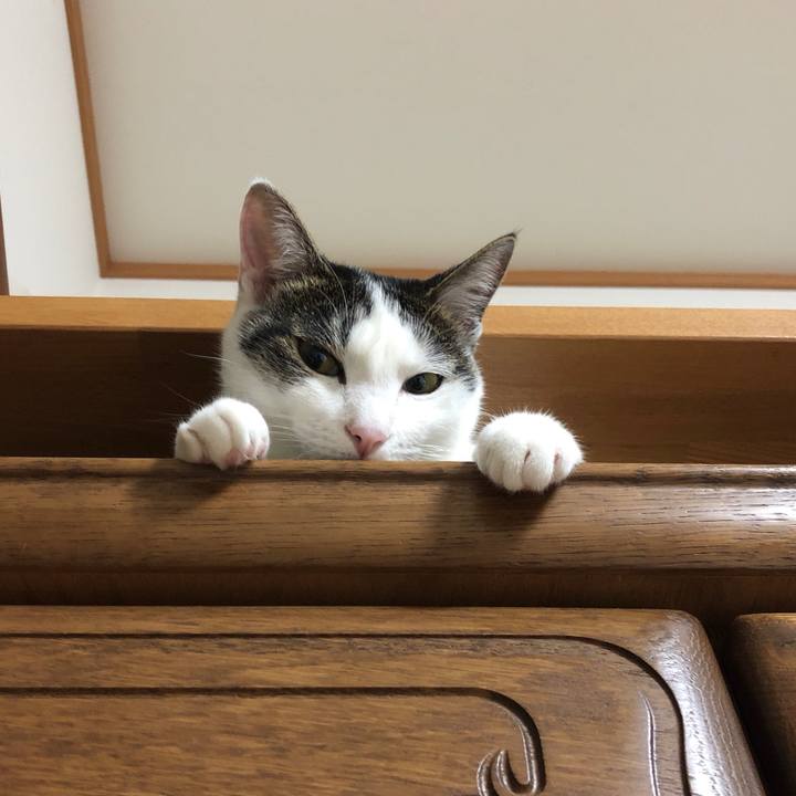 3bc3f98a 5874 472a a80c 078c3431882a 1597069639063