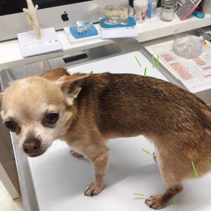 3bc40c2b 3160 4d0e bb54 44c30da5c148 1523690947753