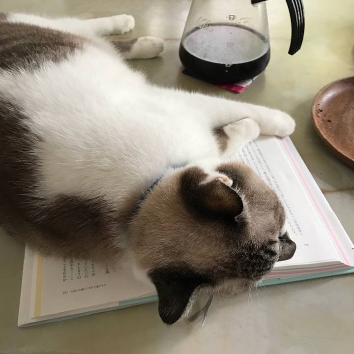 3bc453c7 008d 4d97 acf9 6ded4405fb99 1537055956056