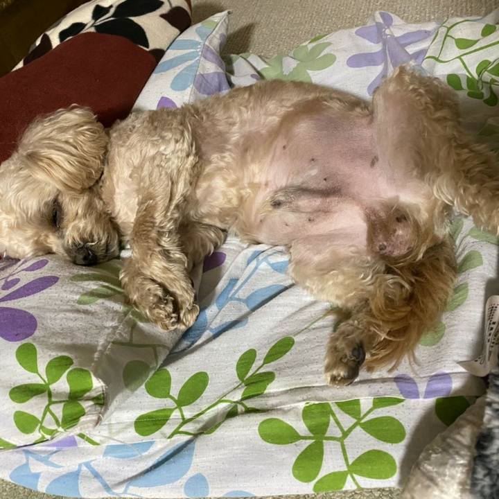 3bc4b273 d8bf 4589 9bf4 276a58209ee9 1584361120820