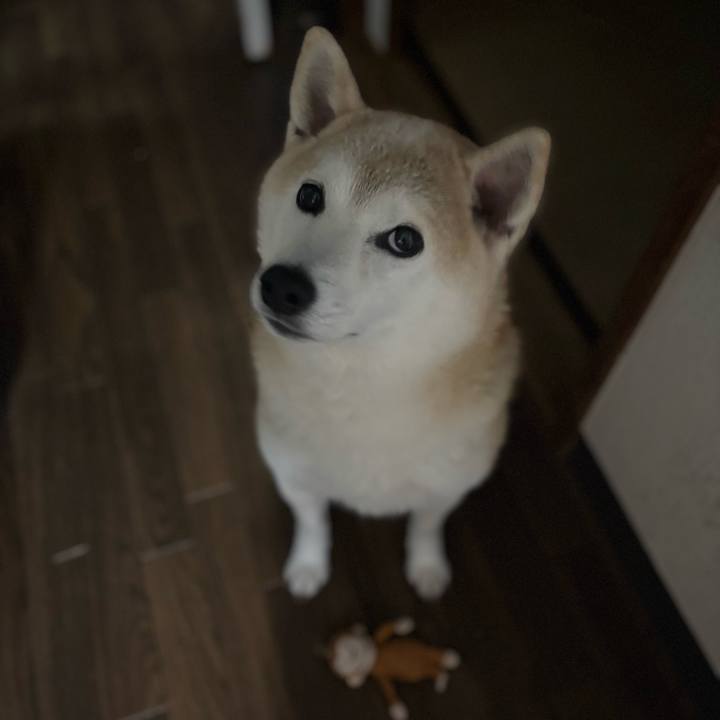 3bc4f459 b3e5 4d7a b799 102d478971b7 1737674148910