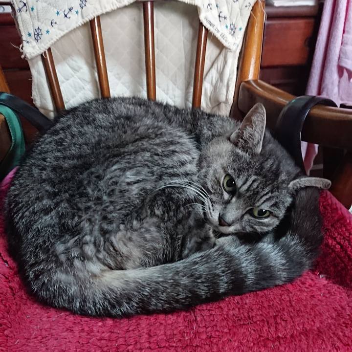 3bc502ae 117a 48b9 835c 90deb791d6b3 1581204623598