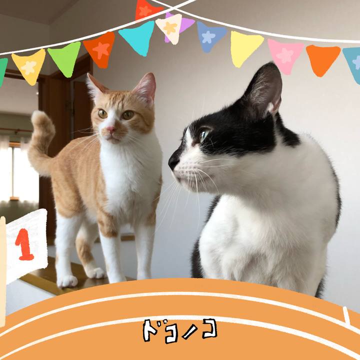 3bc51ad1 966d 47a0 9c7f 6b85af1f7018 1761101269771