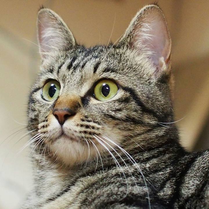 3bc54654 da91 4767 8c53 4a0a900c017c 1531658404597