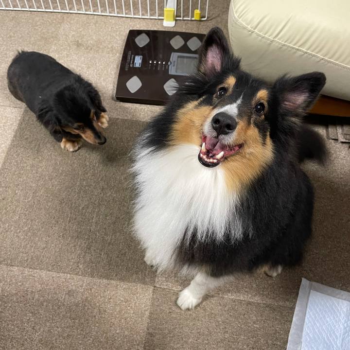 3bc56575 e399 4a63 88c0 1af8db0be9e0 1611612292900