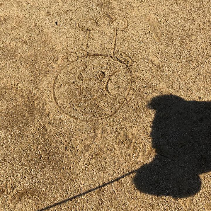 3bc5813a 9f3a 462c aedd d3ff8ad9f101 1509411148546