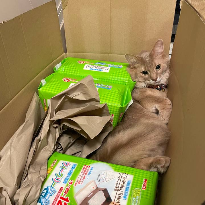 3bc58ee4 230c 44c0 aa28 9cec3856f134 1709386615880