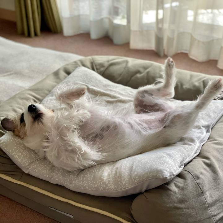 3bc59932 00e4 4f18 82ae fbd1f30c722f 1626843880092