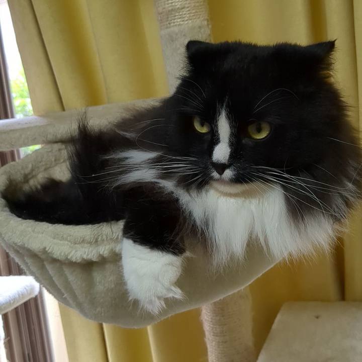 3bc5a3ce 566a 487b 98b9 f6977e9d7484 1685236279214