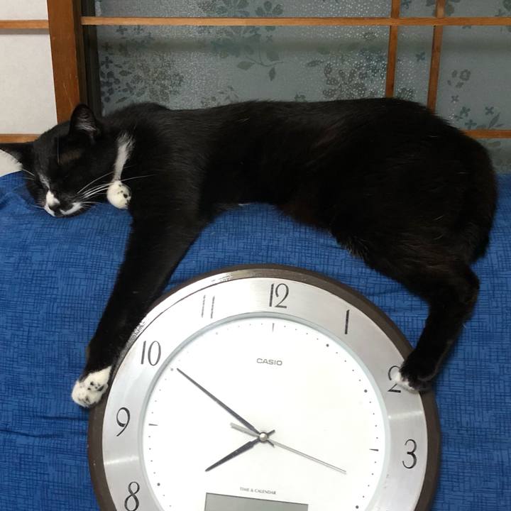 3bc5d3b2 7a19 4b4e 9d85 de4d8ab36956 1626320947404