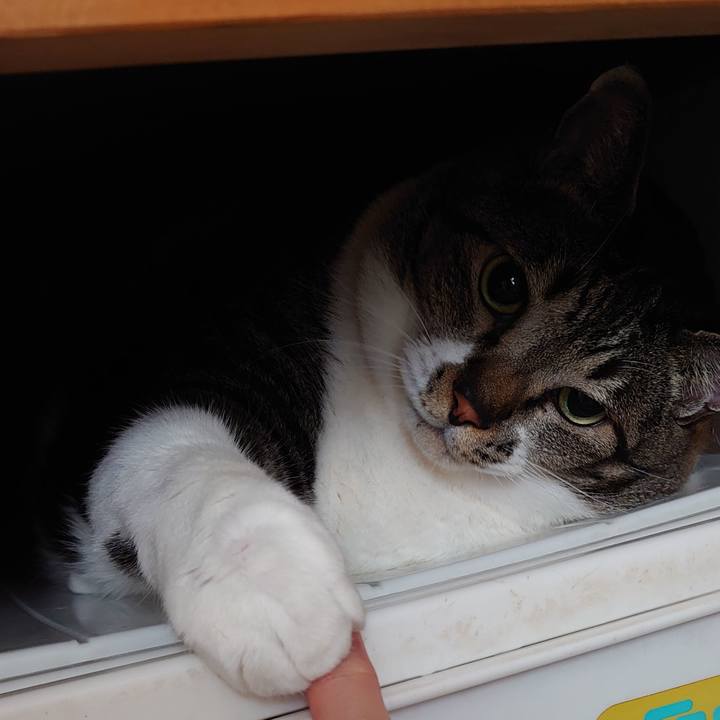 3bc5f53b 8fe3 4948 9e64 22404c46b97b 1596505828875