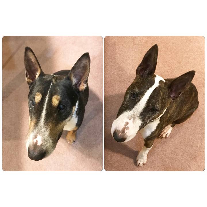 3bc65acc fb7a 480b 9693 c737899424c4 1524135700902