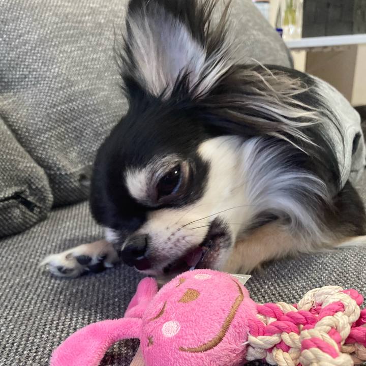 3bc65f56 8895 4427 8b3e 1f64d514ca7c 1613877064051