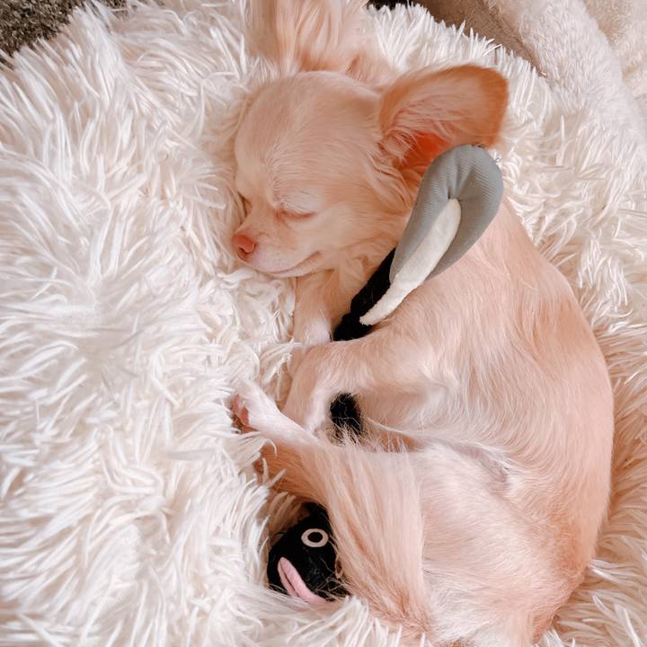 3bc6a1b7 ed62 495a 95c5 b3fae7099058 1657087624154