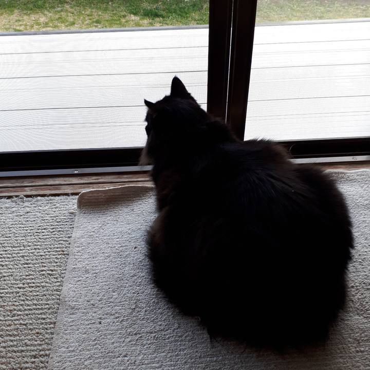 3bc6ba6e edee 4940 9a21 aa43d4782cb0 1520929812224