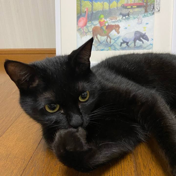 3bc6d87a bca1 49d0 b7eb 30425a5ecbac 1657112349987