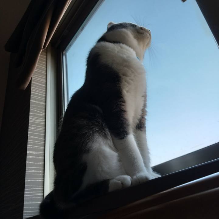 3bc70c86 99a1 42a0 b87b 20b57426e091 1607644668983