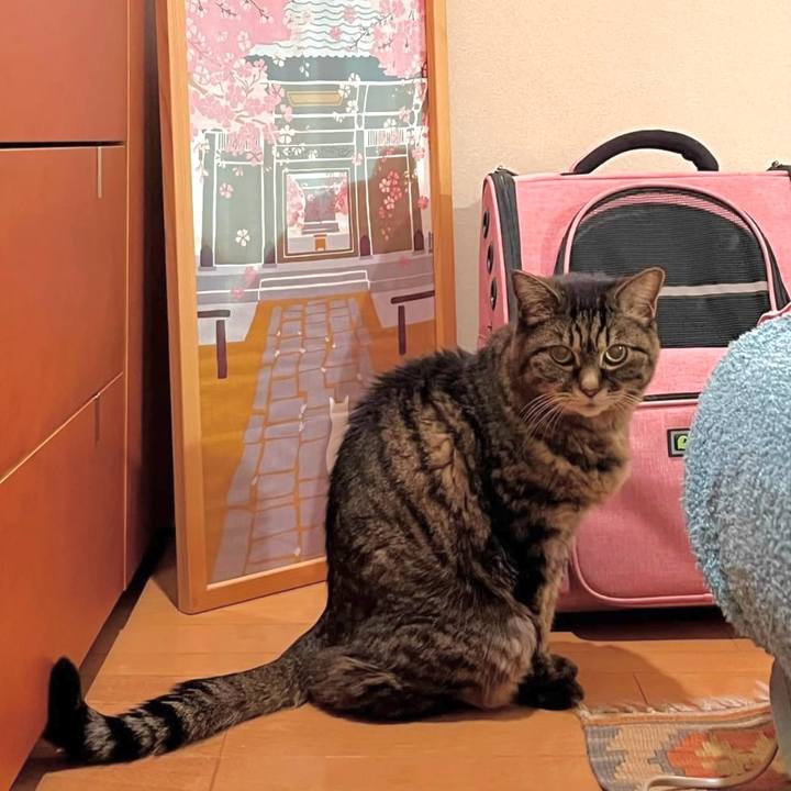 3bc7346a 5d43 4ac7 ab39 79d97dd86f8c 1773835358612