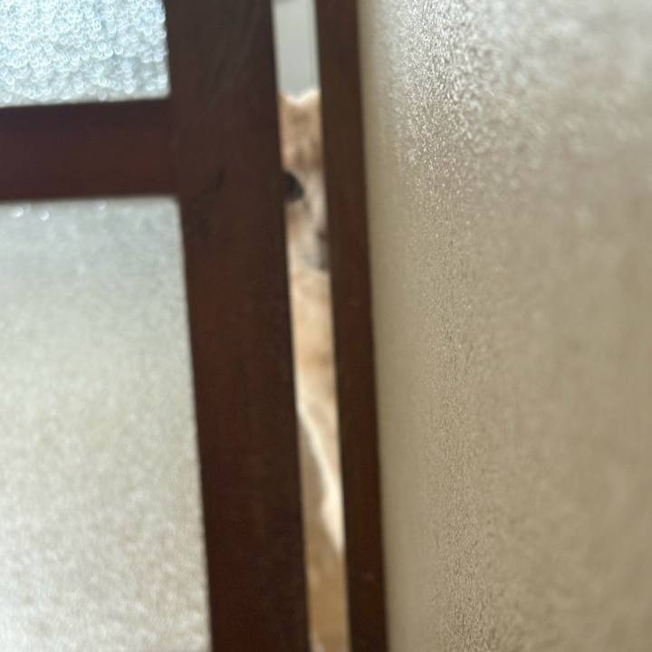 3bc73d20 523b 449f 8ed9 d6ea9d6ac265 1769402351085