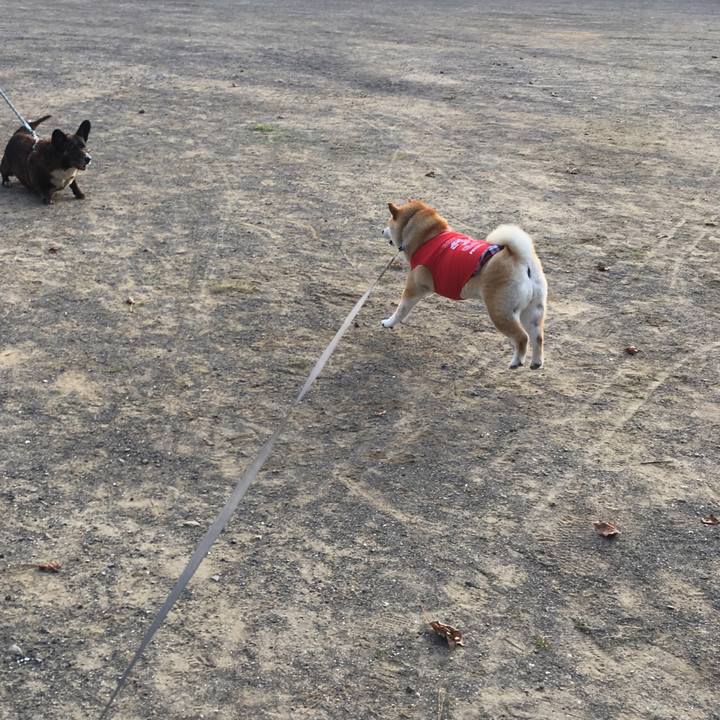 3bc76202 10d1 46b6 8738 6a738b34da34 1569624461969