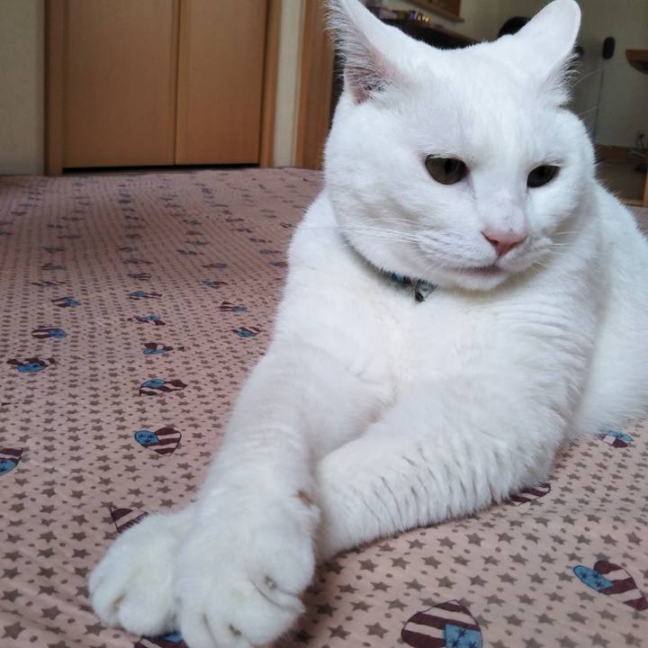 3bc76373 b233 4762 8582 9d312ecd4d02 1625445690802