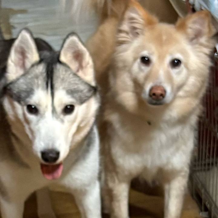 3bc77484 9809 485e a453 2fee78f1346e 1775276109177