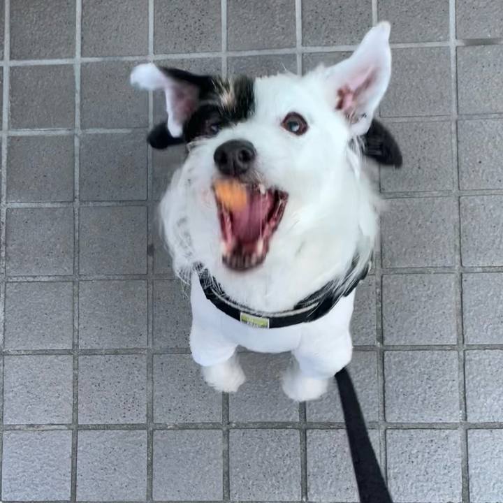 3bc77c23 5ef8 4641 9348 be04ff8084fe 1703575573051