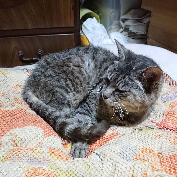 3bc791fe 02c5 4a47 b86c def45b448bc8 1571488977022