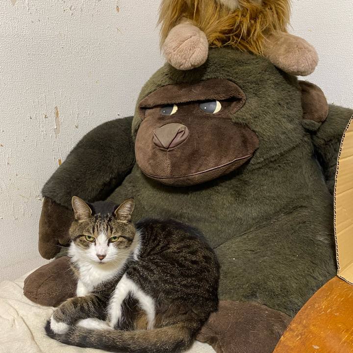 3bc7b114 79f1 4ed7 b8c9 ba902fe92bf5 1758500020401