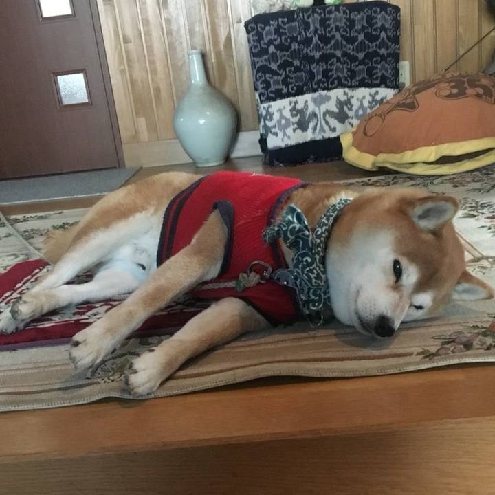 3bc7b1b7 d9cd 41fb 8db0 3def26e3405a 1517387040588