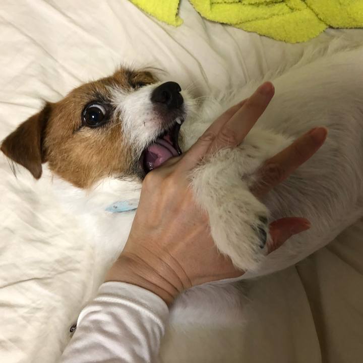 3bc7c132 ead9 48c5 ac39 59574e0e8fc0 1540127994627