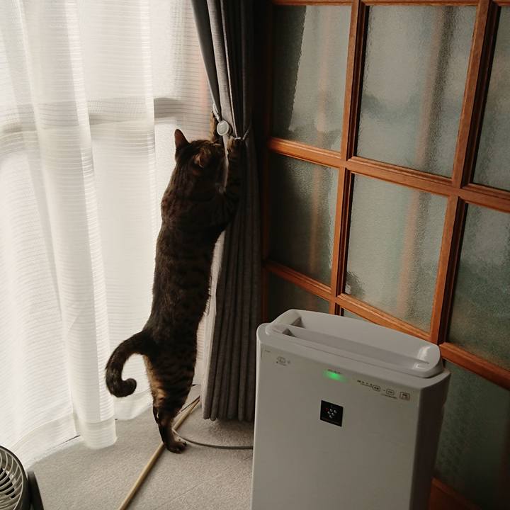 3bc7e6c6 001d 40c2 a17c 5459e154a026 1518240888967