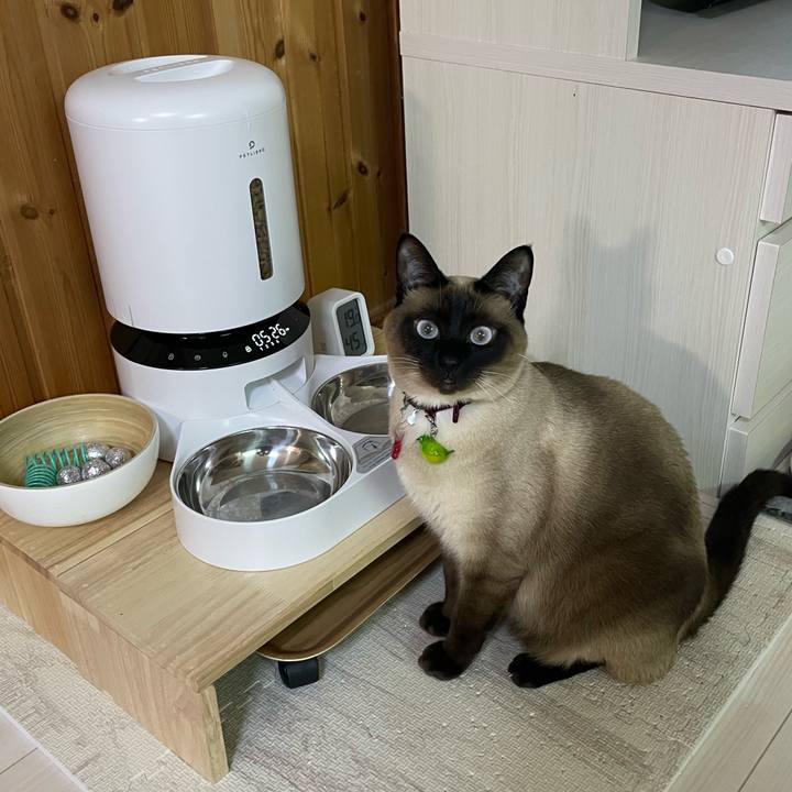 3bc808a2 9ccc 47d3 b5ee e3e9230b82c8 1742330346119