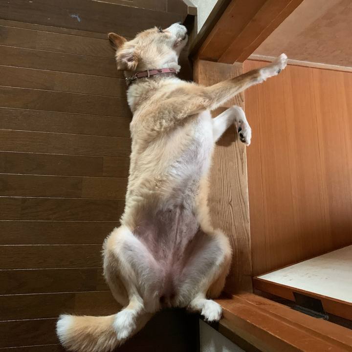 3bc8291c f806 45e7 b1b1 1d50fcdde864 1593571931030