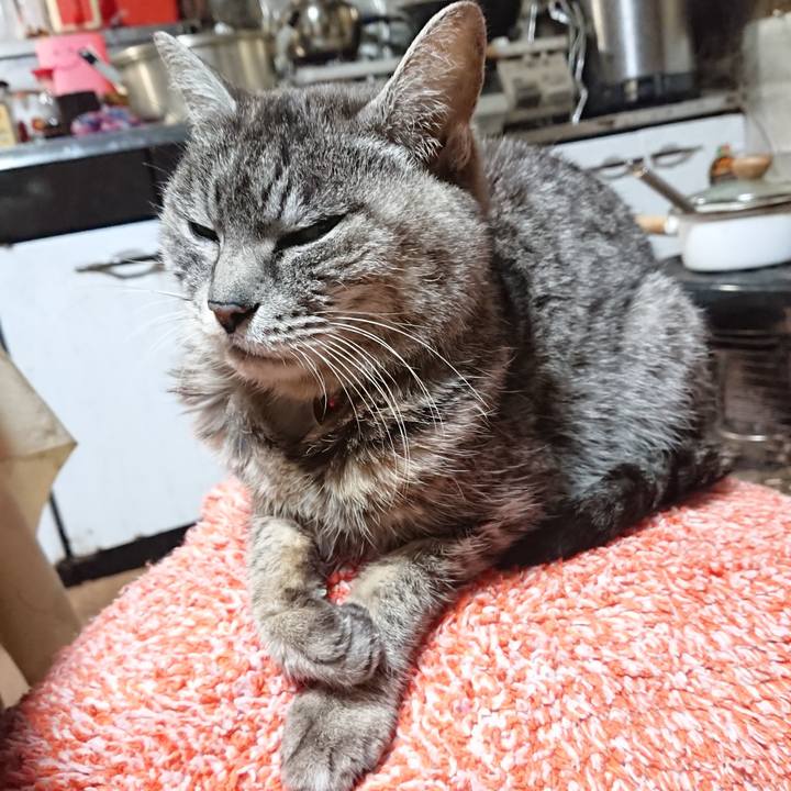 3bc83b53 c2b5 4b70 95a0 aab2bb549117 1583182926644