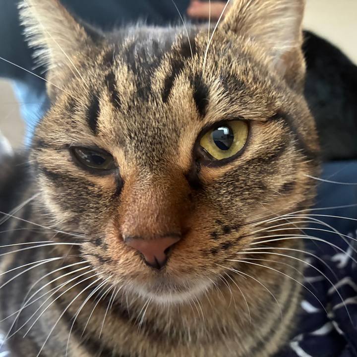 3bc85cc5 d956 49f9 8c9b 11f67888fa7e 1763418899036